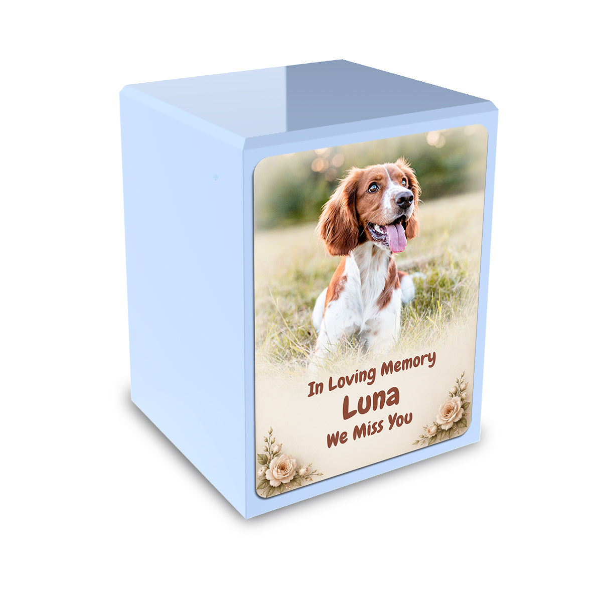 Custom Engraved Heritage Light Blue Pet Photo Small Cremation Urn Memorial Box for Ashes
