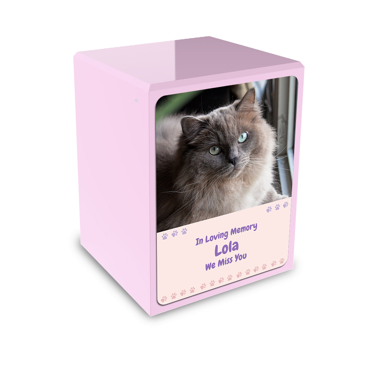 Custom Engraved Heritage Light Pink Paw Cat Portrait Small Cremation Urn Memorial Box for Ashes