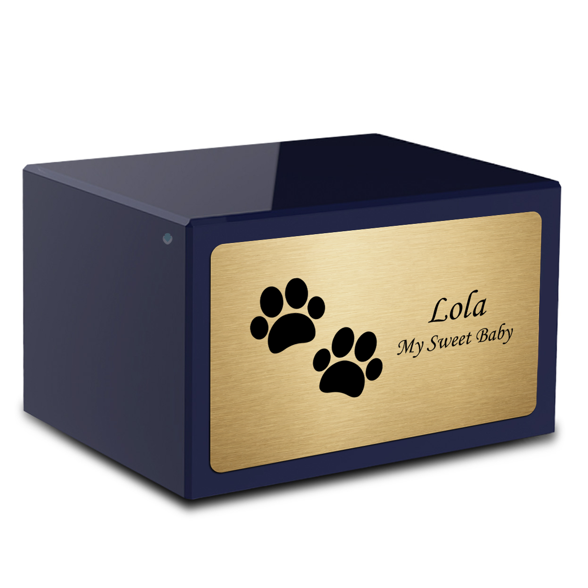 Heritage Navy Walking Paws Large Pet Cremation Box Urn
