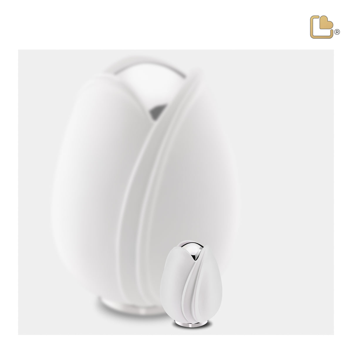 Tulip Keepsake Urn White & Polished Silver