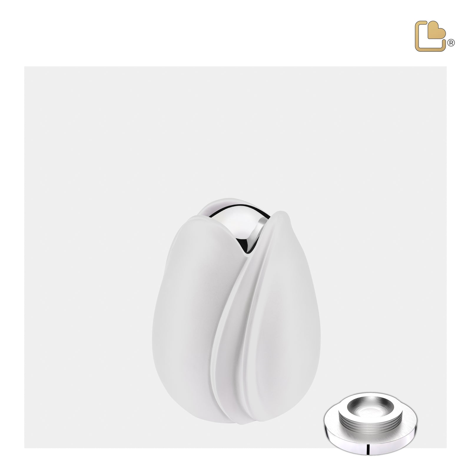 Tulip Keepsake Urn White & Polished Silver