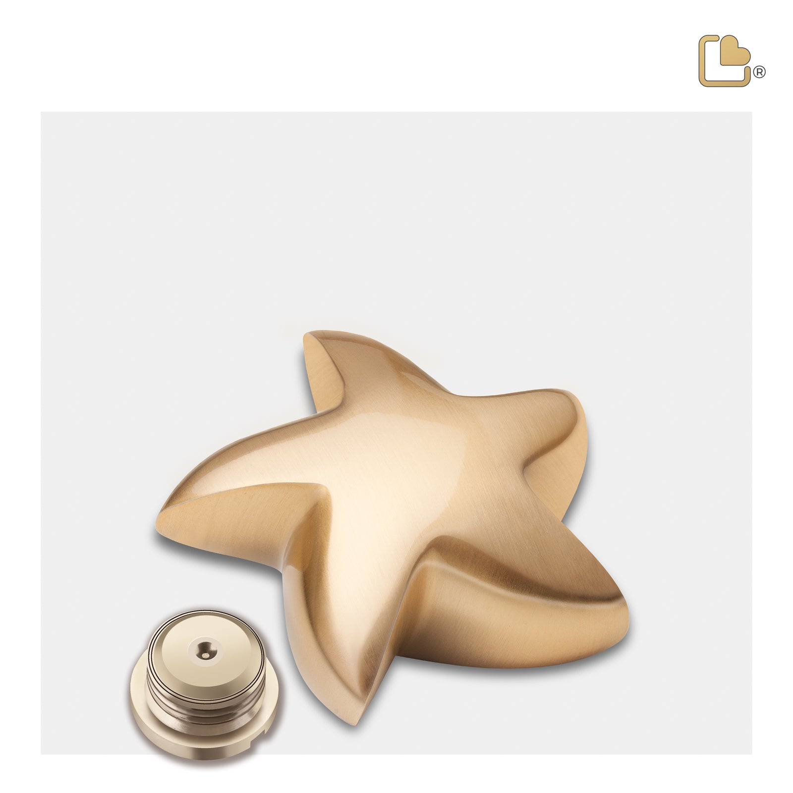 Star Brushed Gold Portrait Cremation Urn