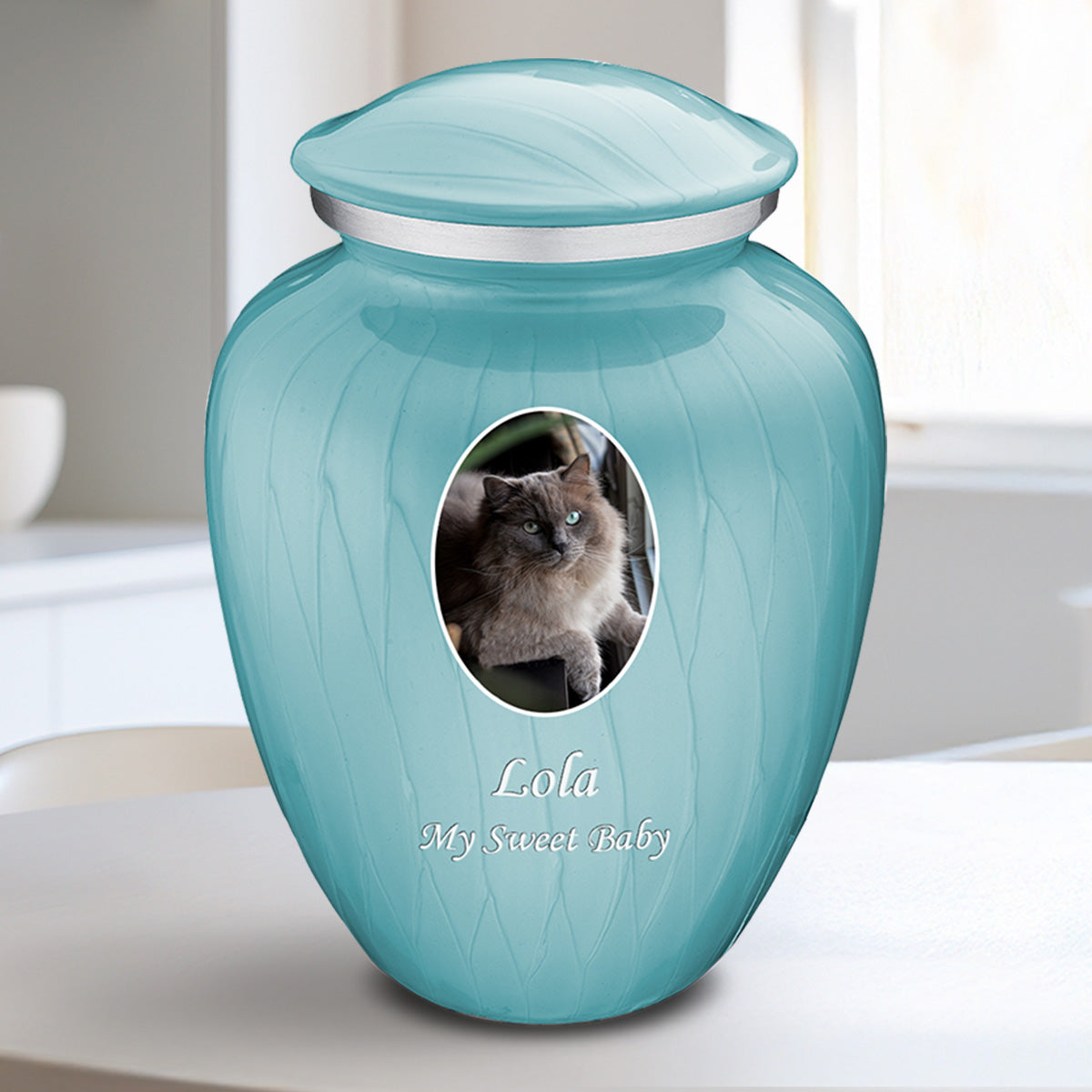 Medium Pet Embrace Pearl Light Blue Portrait Cremation Urn