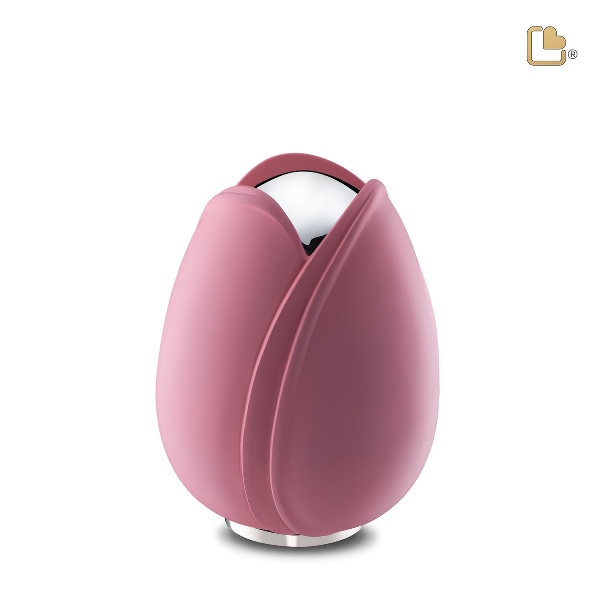 Tulip Medium Urn Pink &amp; Polished Silver