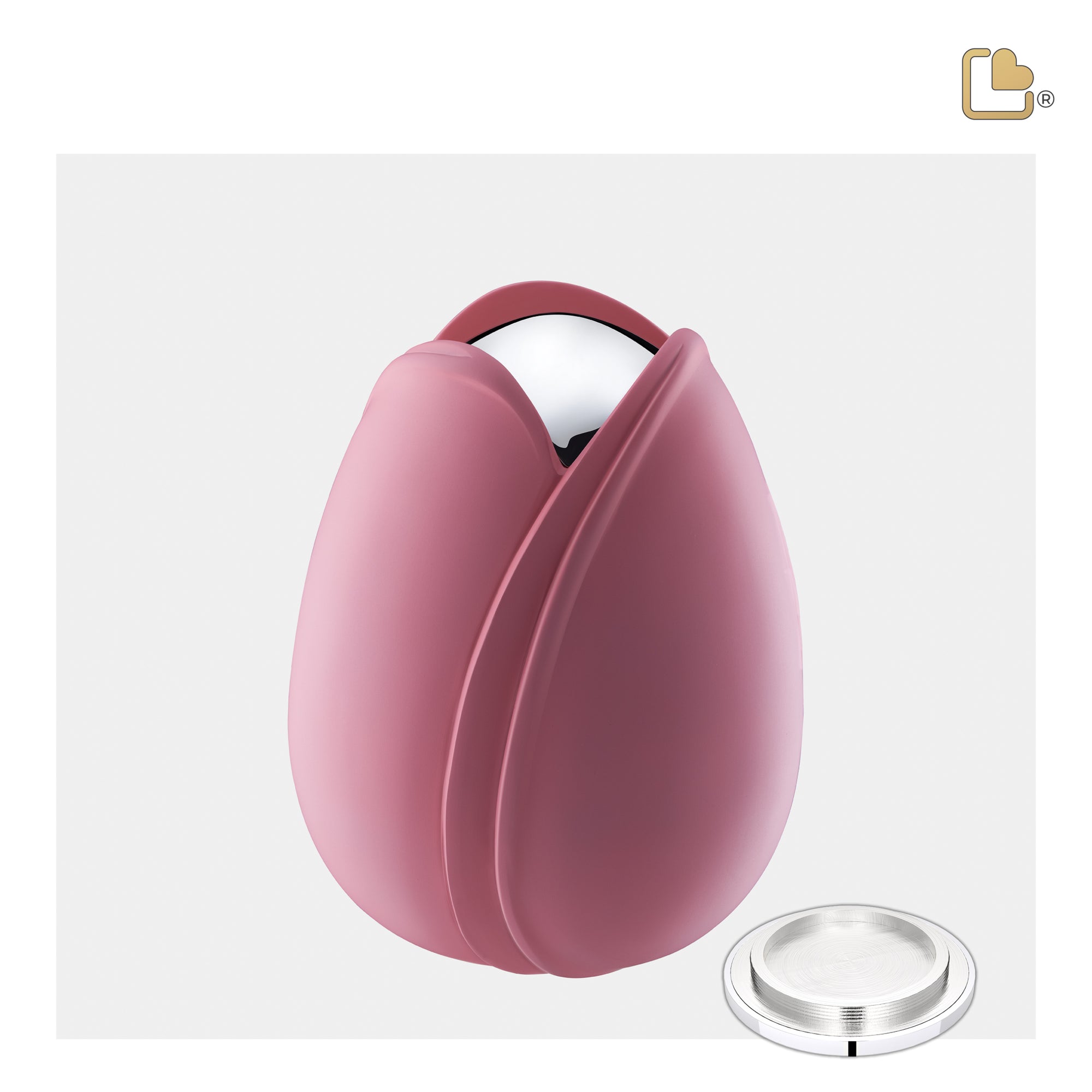 Tulip Medium Urn Pink & Polished Silver