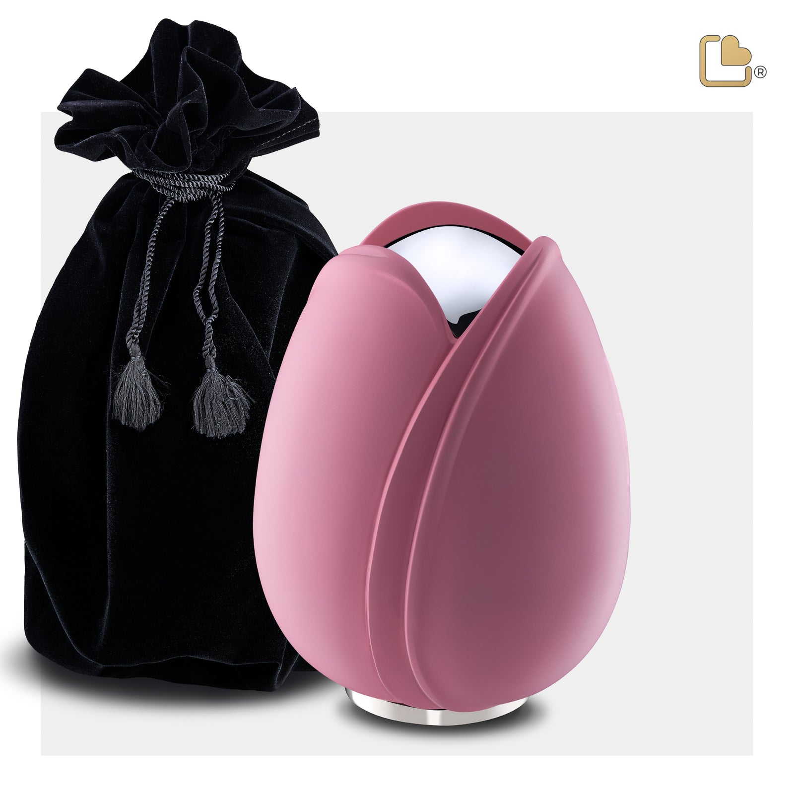 Tulip Medium Urn Pink & Polished Silver
