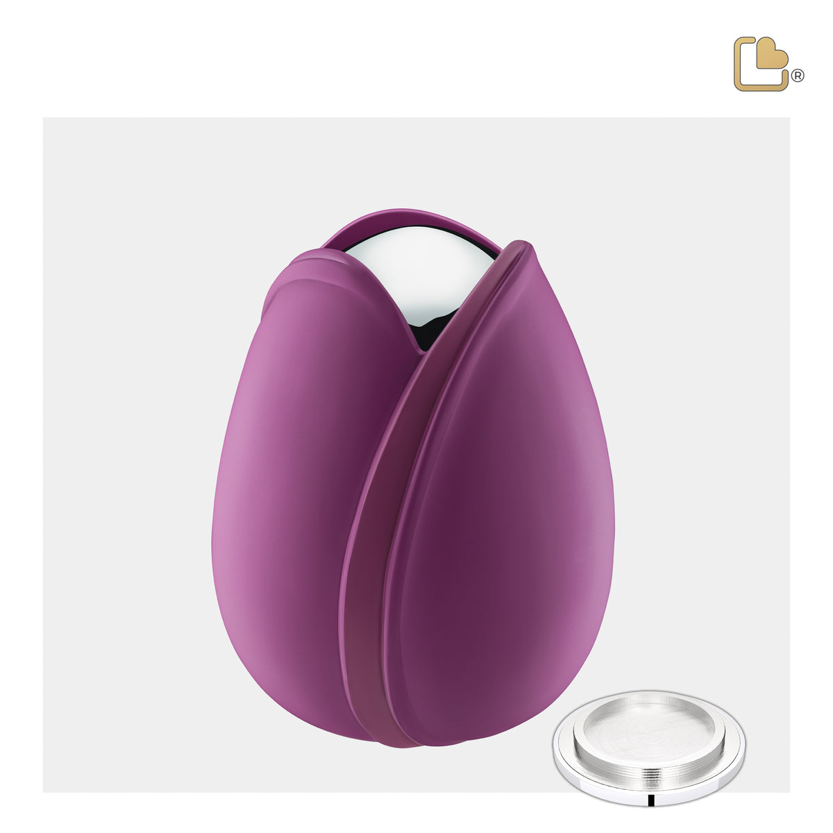 Tulip Medium Urn Purple & Polished Silver