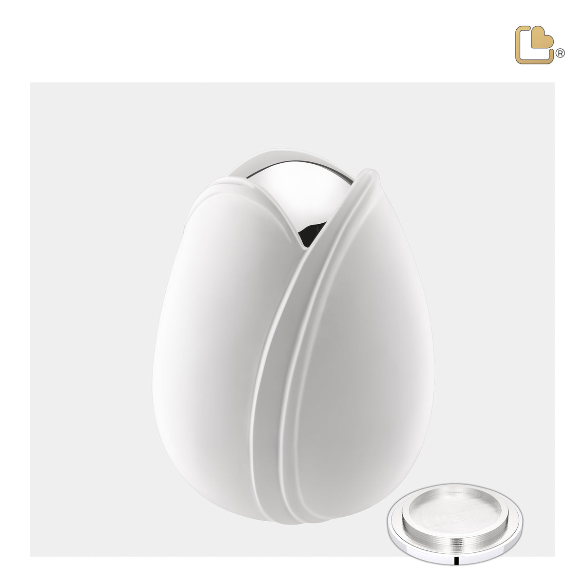 Tulip Medium Urn White & Polished Silver