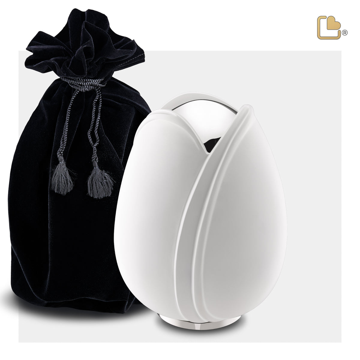 Tulip Medium Urn White & Polished Silver