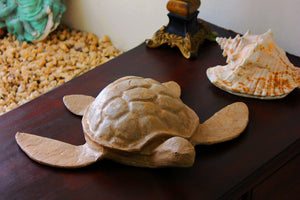 Adult Light Brown Colored Biodegradable Turtle Paper Cremation Urn placed on a bed table nearby seashell