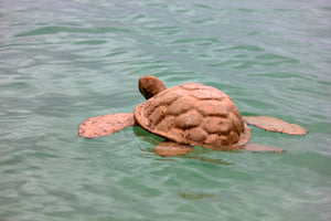 Adult Light Brown Colored Biodegradable Turtle Paper Cremation Urn Floating on the water