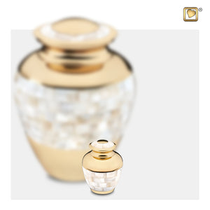 A Keepsake Mother of Pearl Cremation Urn with Blurry Image of itself