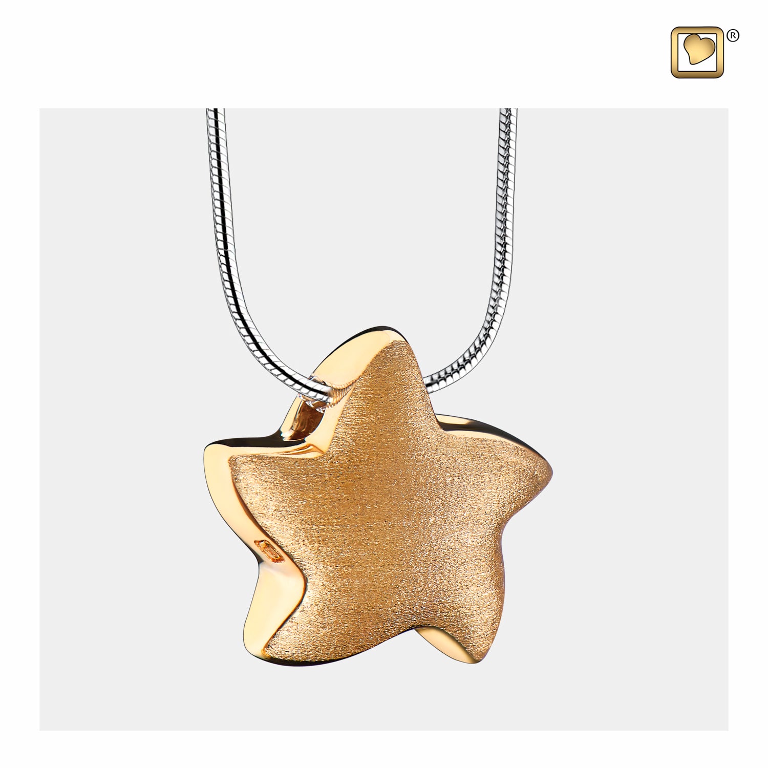 Angelic Star™ Two Tone Gold Vermeil Cremation Pendant