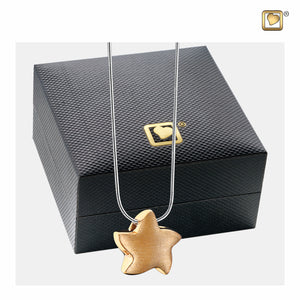 Angelic Starª Two Tone Gold Vermeil Cremation Pendant