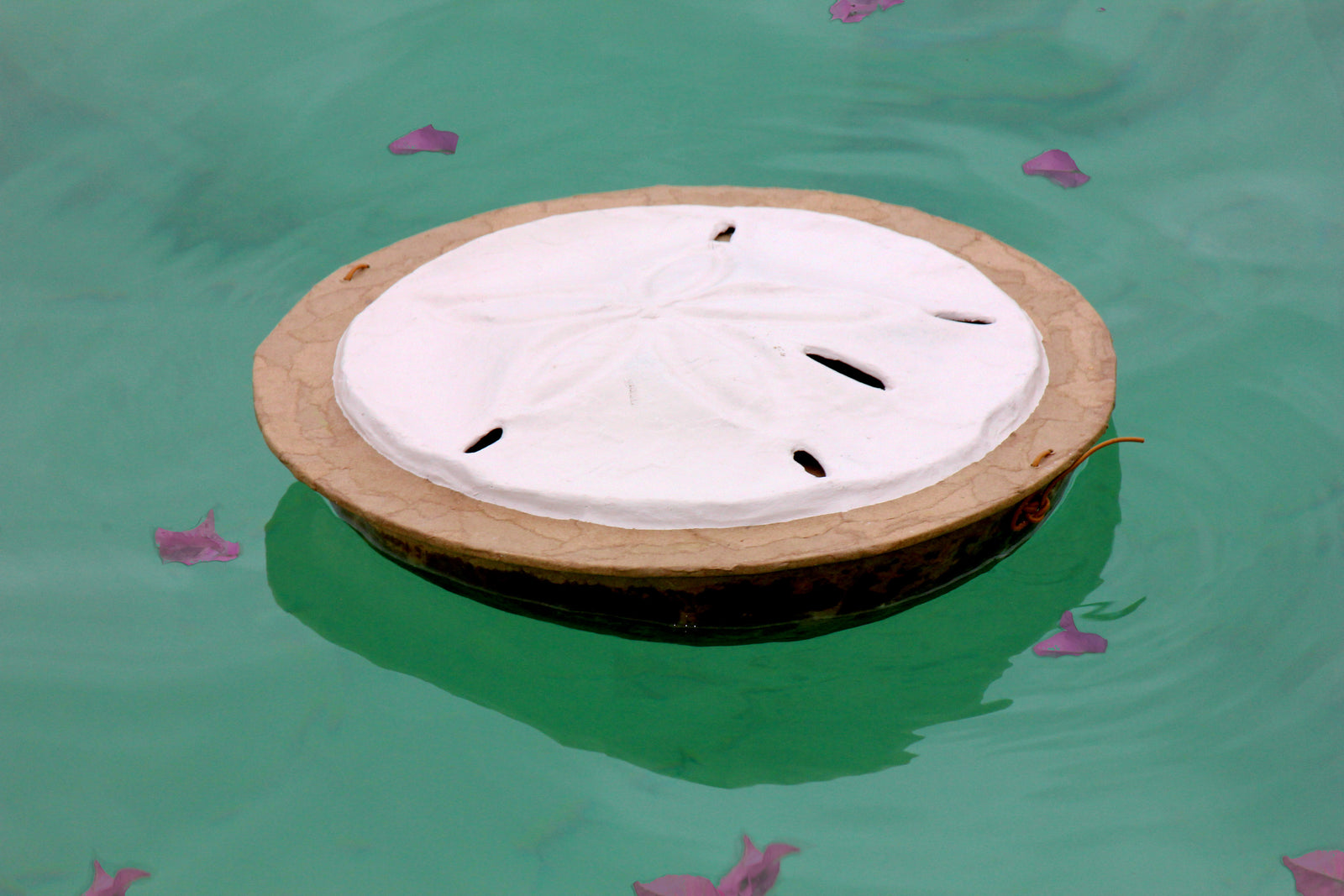 Sand Dollar - Serenity Collection Biodegradable Cremation Urn