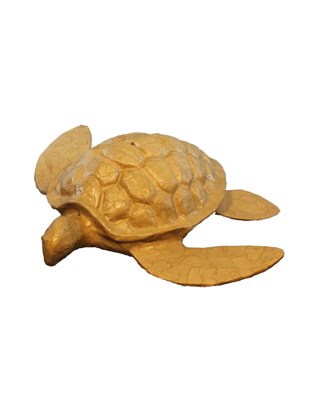 Adult Biodegradable Turtle Paper Cremation Urn