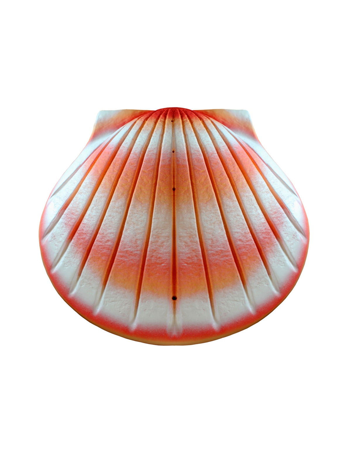 Coral - The Shell Biodegradable Cremation Urn