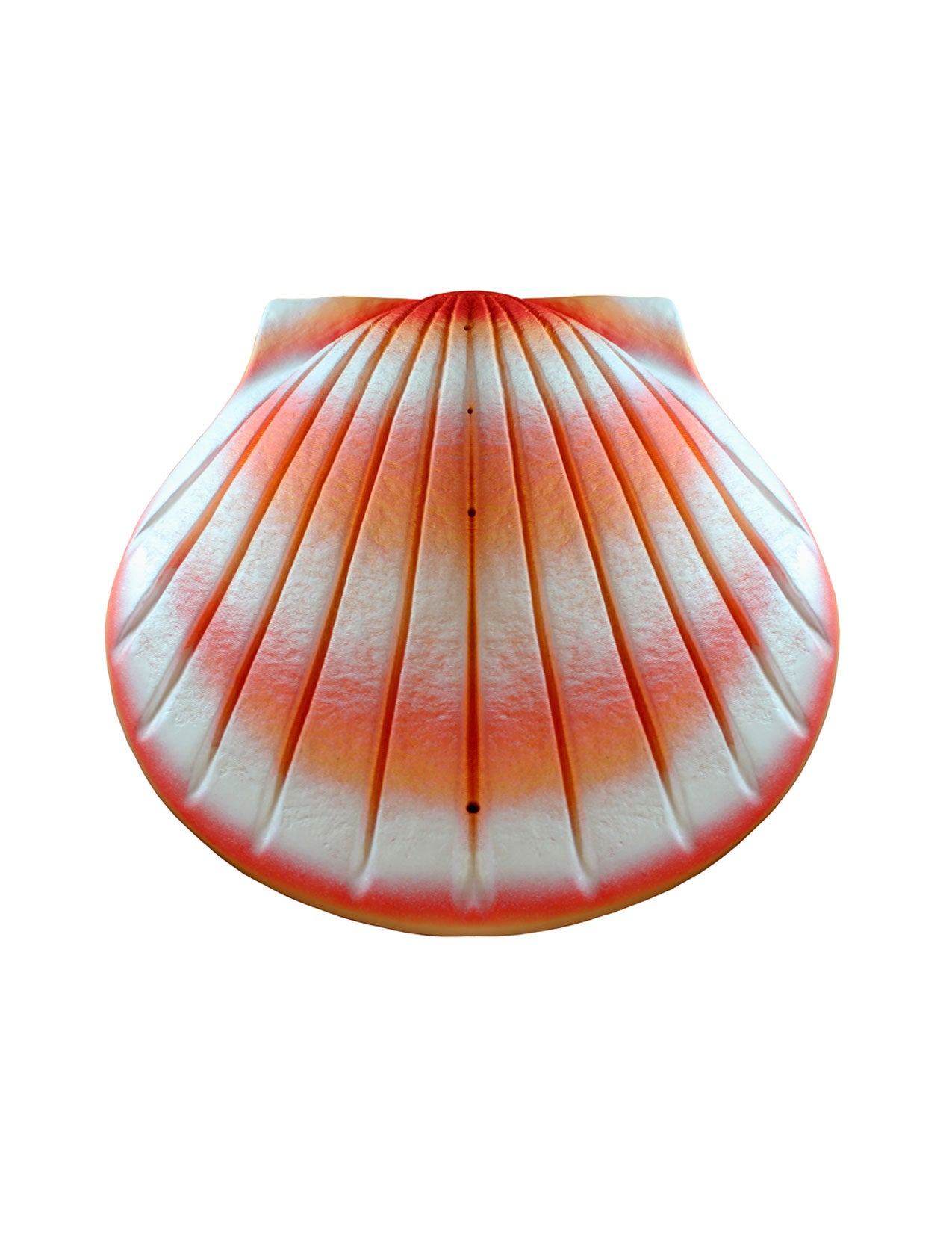 Coral - The Shell Biodegradable Cremation Urn
