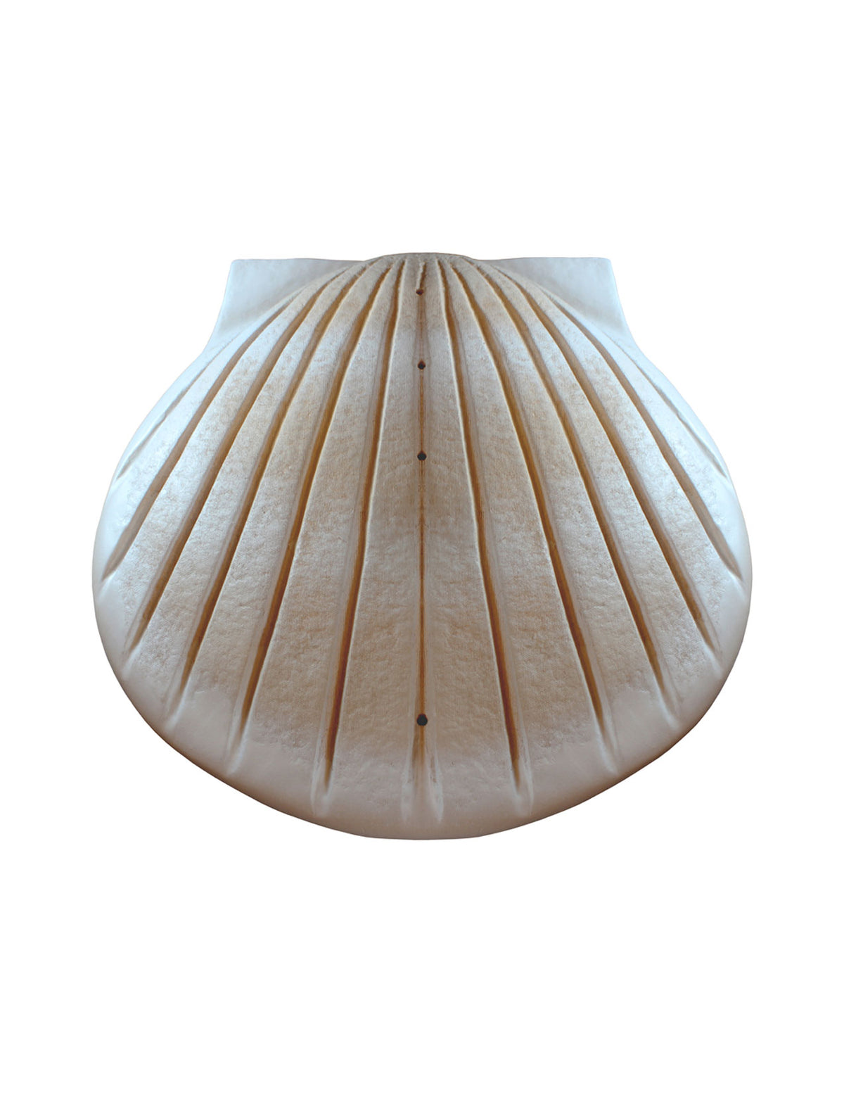 Pearl - The Shell™ Biodegradable Cremation Urn