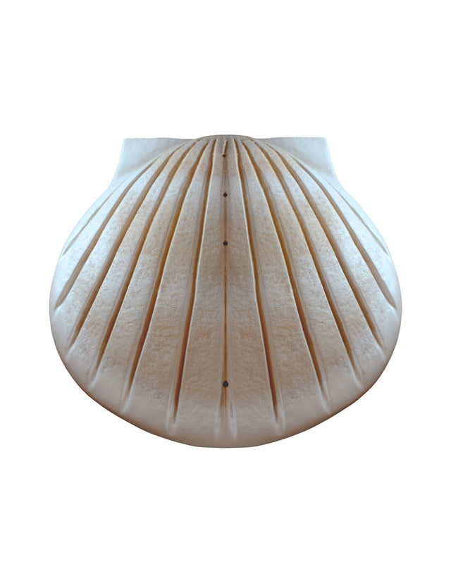 Pearl - The Shell™ Biodegradable Cremation Urn