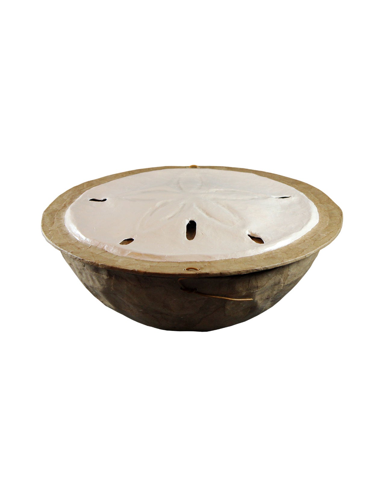 Sand Dollar - Serenity Collection Biodegradable Cremation Urn