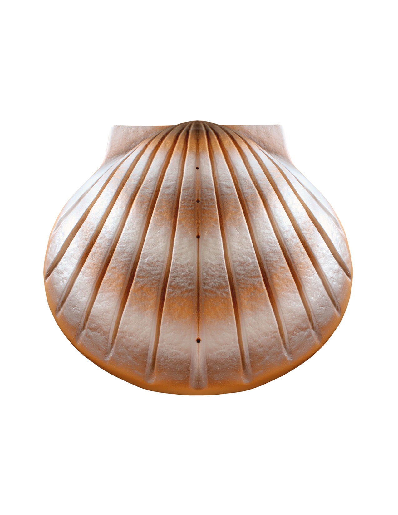 Sand - The Shell™ Biodegradable Cremation Urn